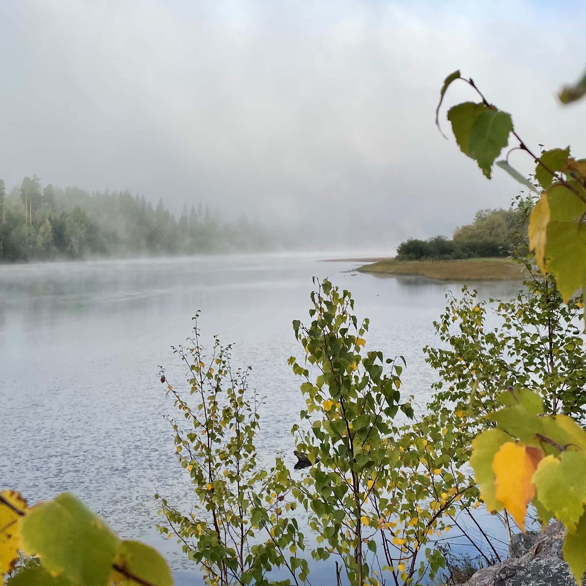 Klarälven tidig höstmorgon