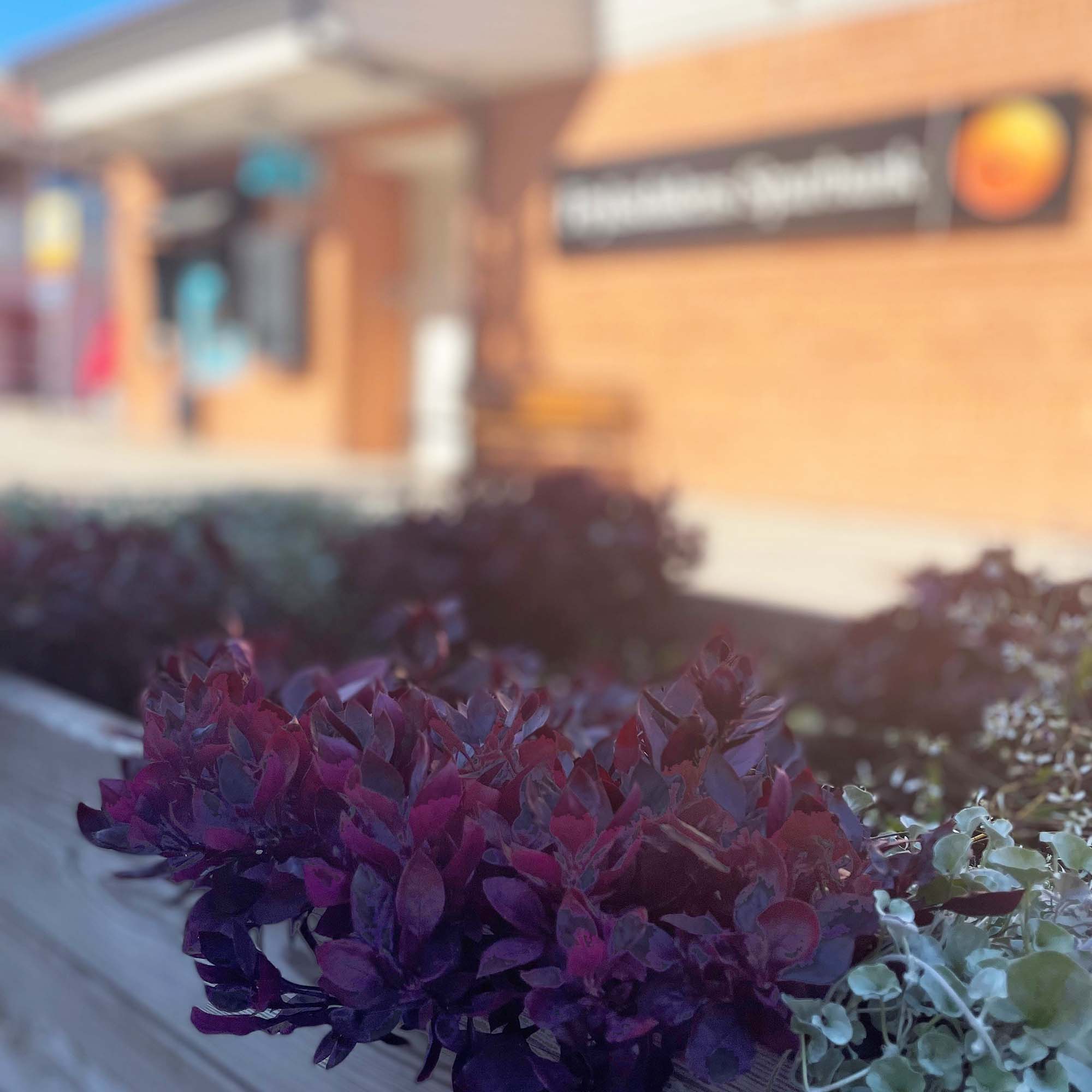 Fryksdalens Sparbanks Sunnekontor med blommor i förgrunden.