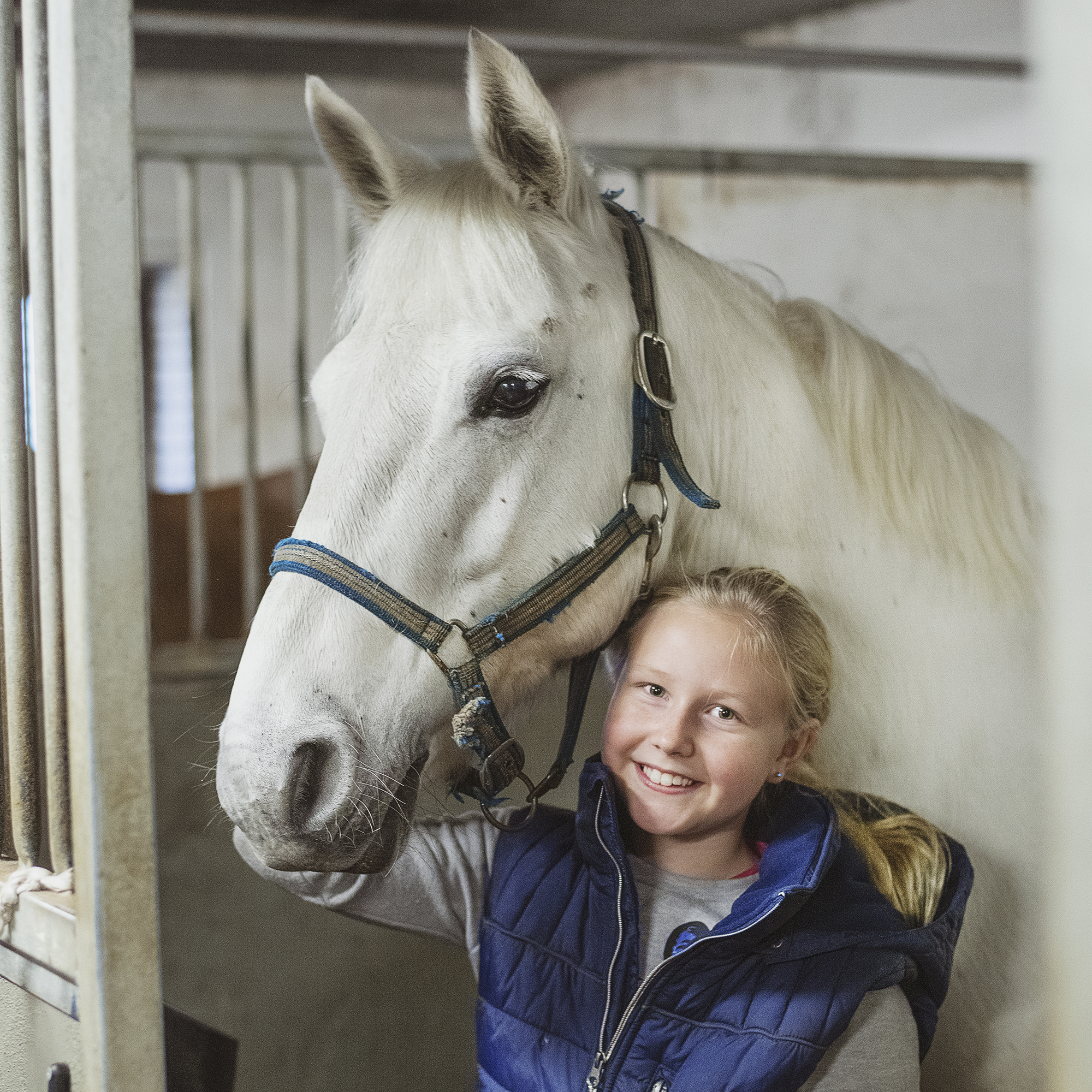 Häst och flicka