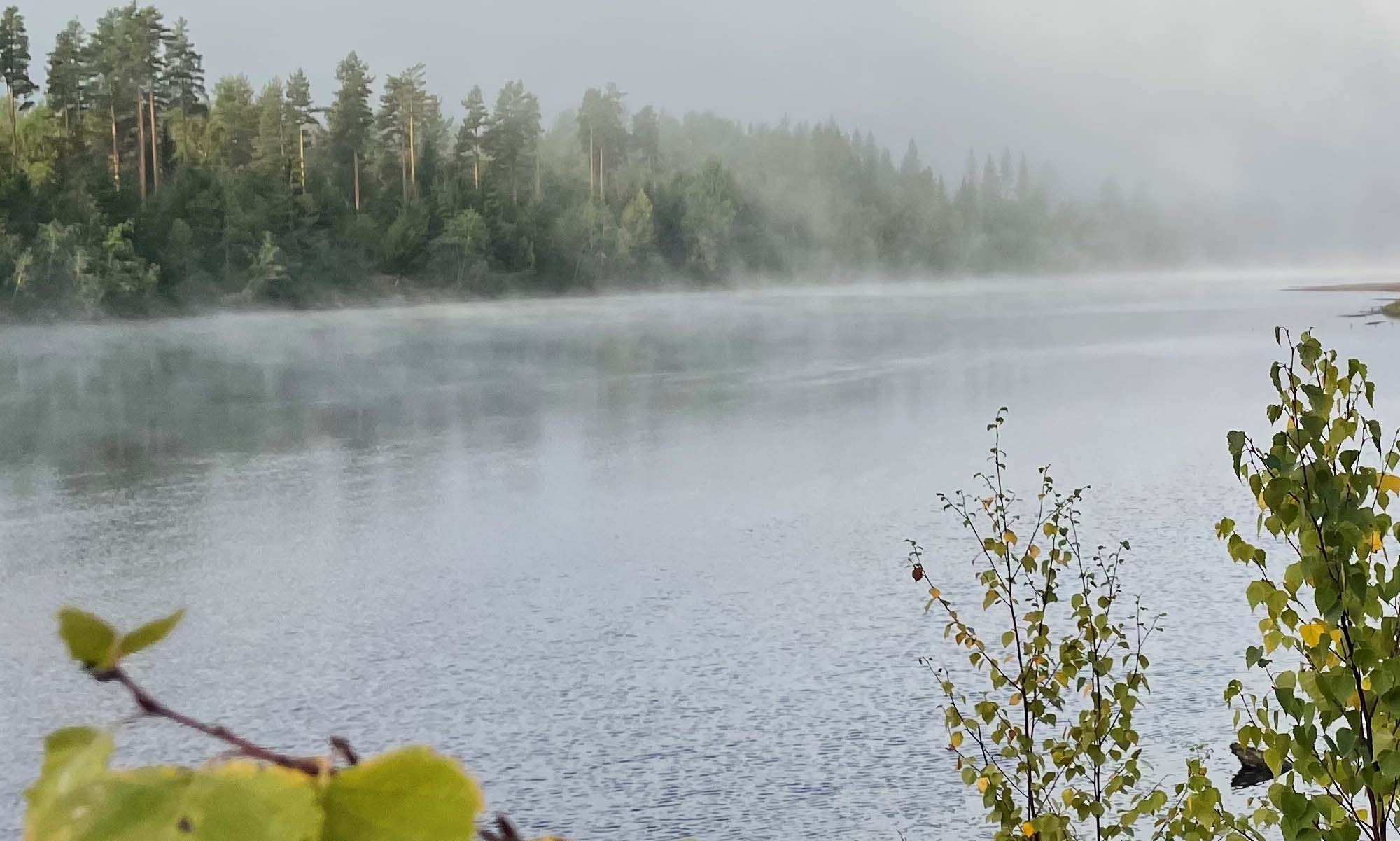 Klarälven tidig höstmorgon