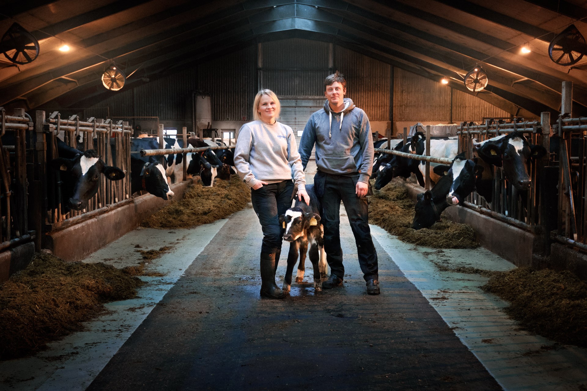 Ett lantbrukarpar i ladugården