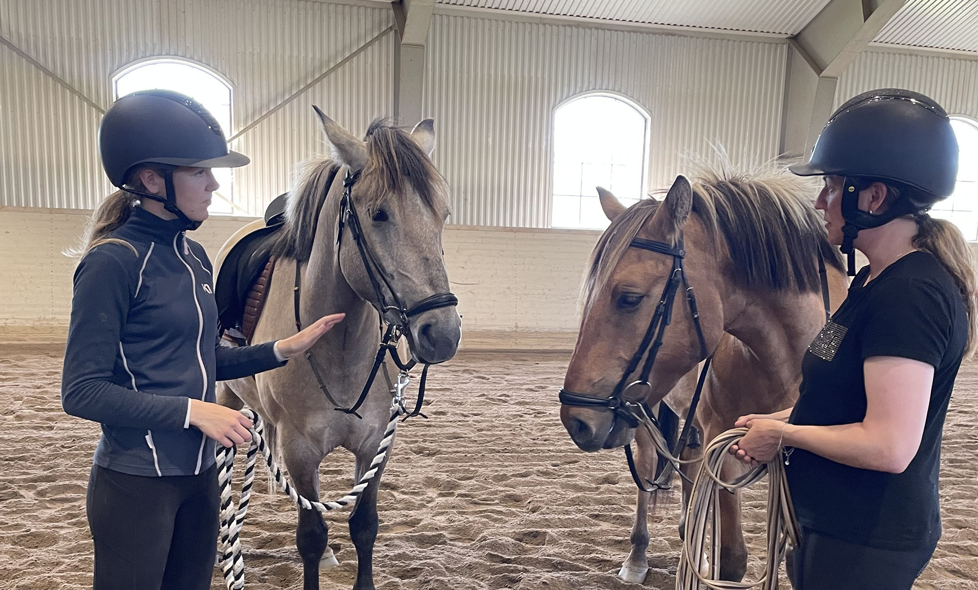 Hästarna Charlie och Clinton på Torsby Ridklubb.